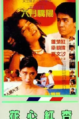 国产福利不卡