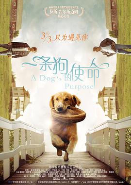 青青成人在线