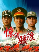 欧美少妇视频