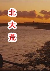 国产成人精品日本亚洲网址