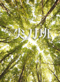 99精品视频免费在线观看